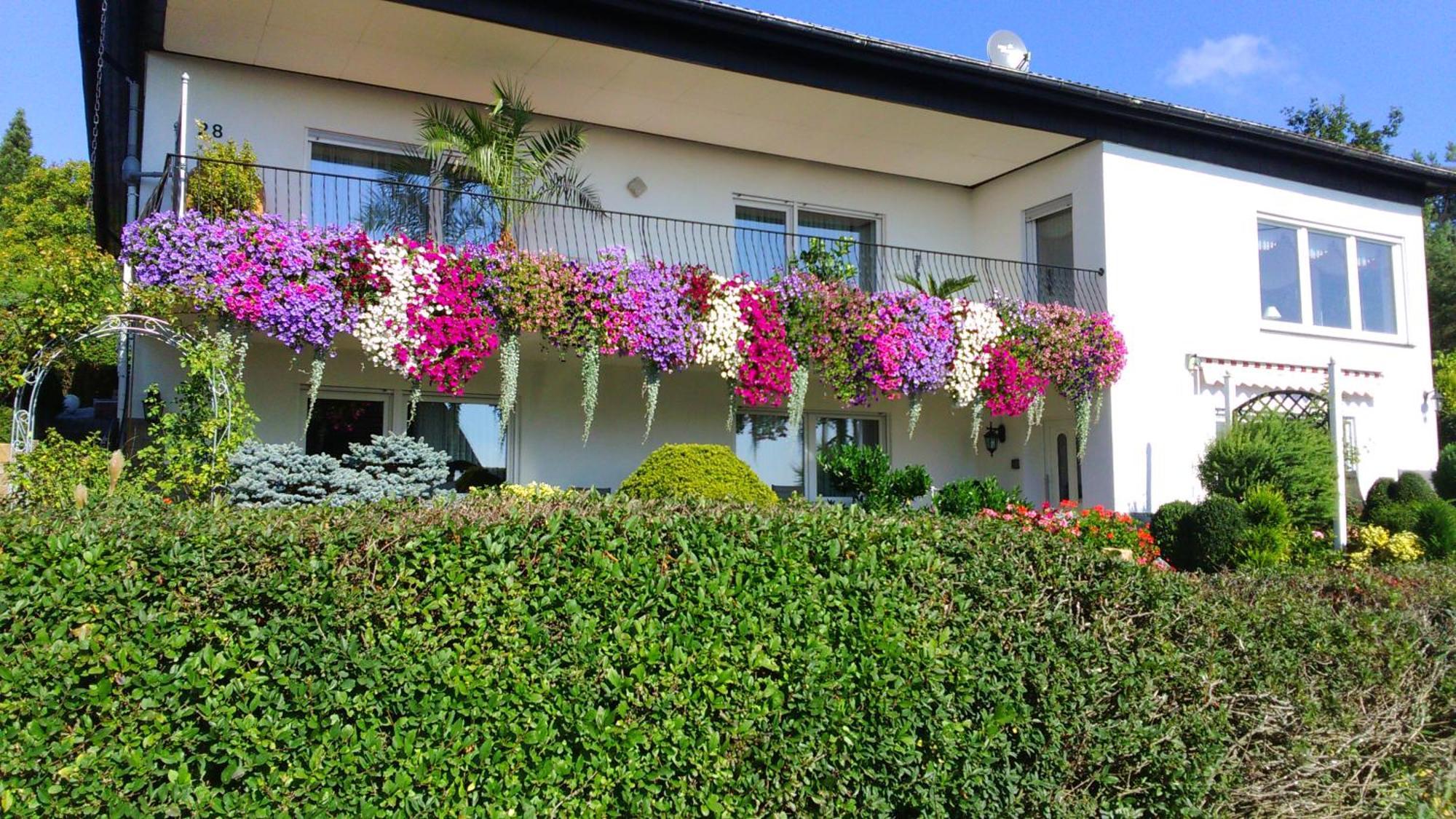 Ferienwohnung Haus Alexandra Schoneberg  Exterior foto